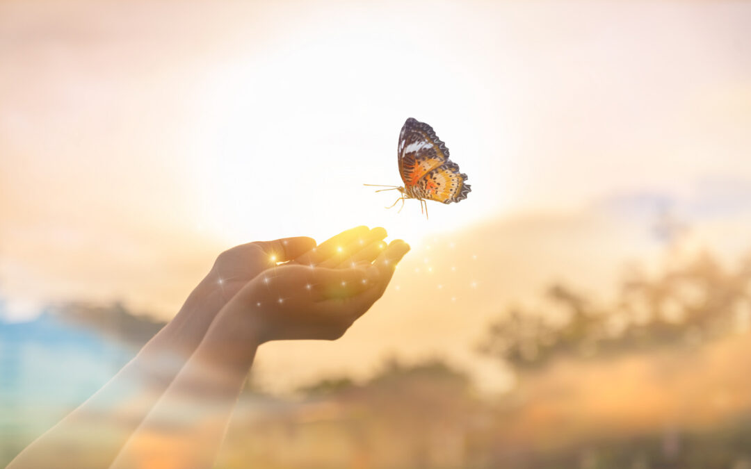 Unleash your true potential with transformational coaching